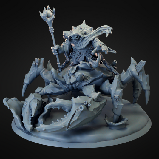 Turtle Mounted Necromancer