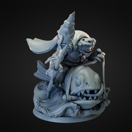 Turtle Mounted Mage