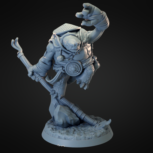Turtle Monk