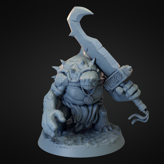 Turtle Barbarian