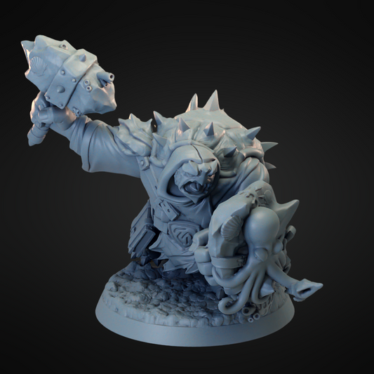 Turtle Cleric