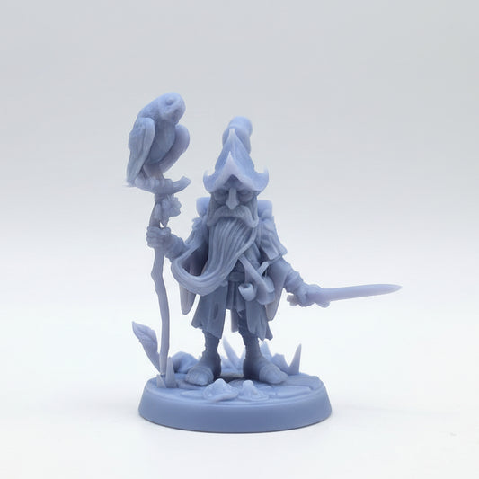 Gnome Druid