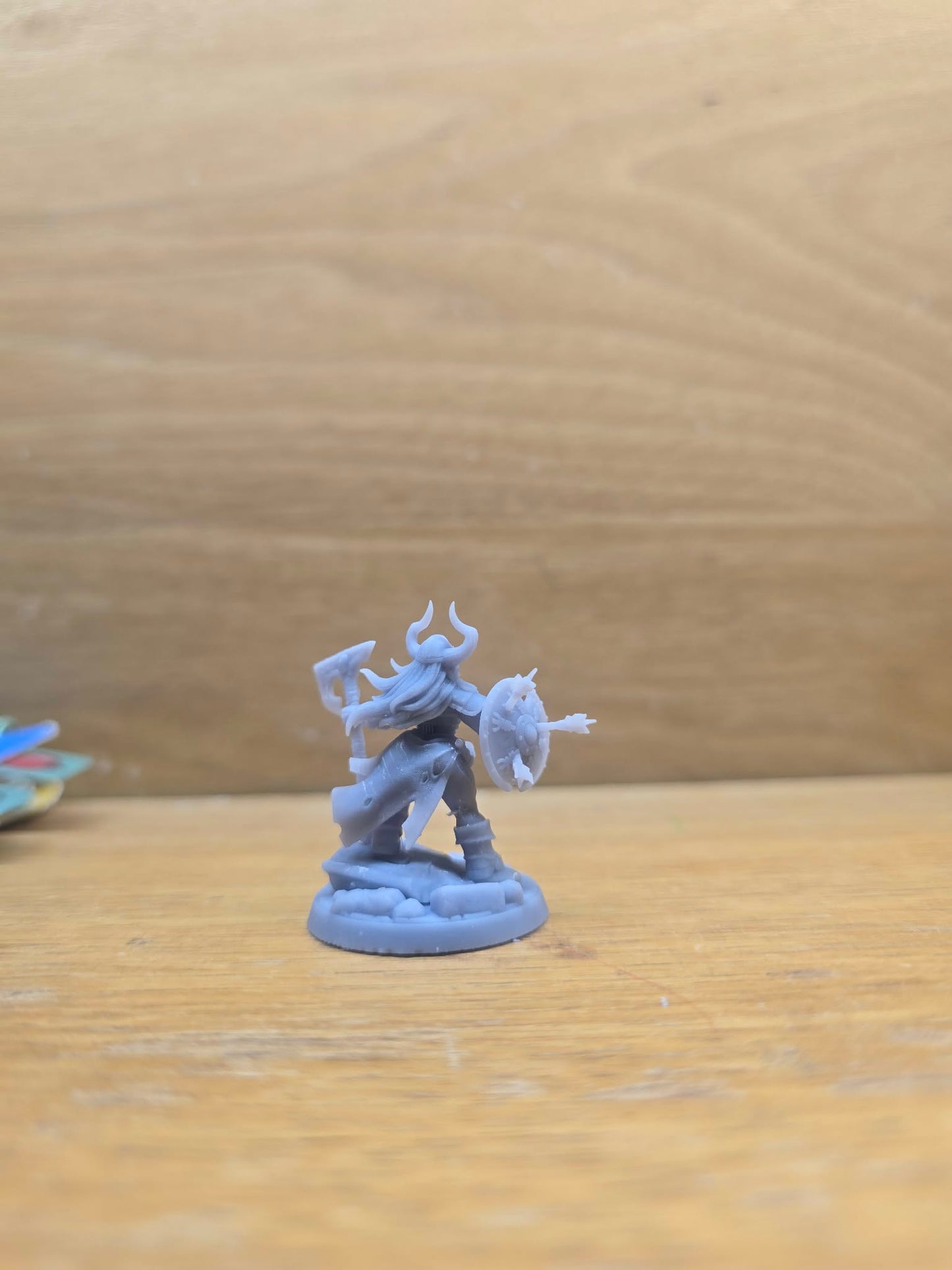 Dwarf Undead Shieldmaiden
