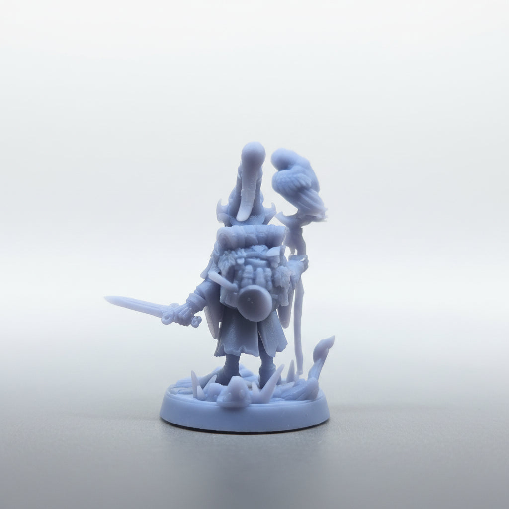 Gnome Druid